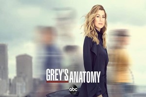 فصل شانزدهم سریال گریز آناتومی Grey's Anatomy